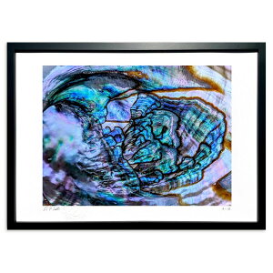 ŉ VRL̔ ({쓧)CeA Ǌ| z i |X^[ A[g rO ւɏ  v[g _ A[gt[