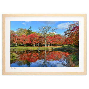 ŉ ʂɉfgt ( )CeA Ǌ| z i |X^[ A[g rO ւɏ  v[g _ A[gt[