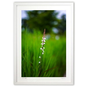 yI|Cg100obNzŉ ȉ (Ζ؎)CeA Ǌ| z i |X^[ A[g rO ւɏ  v[g _ A[gt[