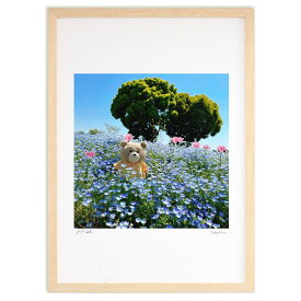 版画 くまさんとネモフィラ (jun_ted)インテリア 壁掛け 額入り 風景画 ポスター アート リビング 玄関に飾る 風水 プレゼント モダン アートフレーム
