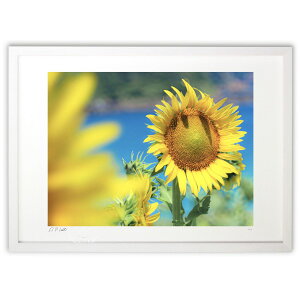 yI|Cg100obNzŉ ċ̂Ђ܂ (m_y8iMamij)CeA Ǌ| z i |X^[ A[g rO ւɏ  v[g _ A[gt[