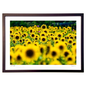 yI|Cg100obNzŉ Ђ܂ (fu-keiphoto)CeA Ǌ| z i |X^[ A[g rO ւɏ  v[g _ A[gt[