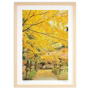 ŉ ~@H[ (mitan)CeA Ǌ| z i |X^[ A[g rO ւɏ  v[g _ A[gt[