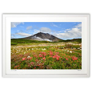 ŉ Ḧx ( )CeA Ǌ| z i |X^[ A[g rO ւɏ  v[g _ A[gt[