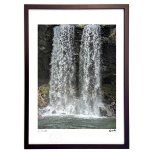 yX[p[SALEzzŉ ̕vw (Bluelabo)CeA Ǌ| z i |X^[ A[g rO ւɏ  v[g _ A[gt[