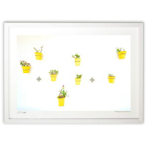 yI|Cg100obNzŉ zƉԂ̃Y (ramble)CeA Ǌ| z i |X^[ A[g rO ւɏ  v[g _ A[gt[