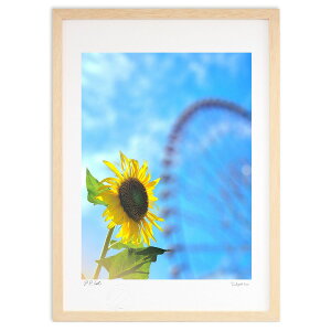 ŉ  (Rito)CeA Ǌ| z i |X^[ A[g rO ւɏ  v[g _ A[gt[