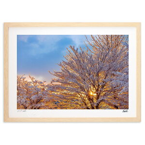 yI|Cg100obNzŉ ̉ 1 (eishowmutoh)CeA Ǌ| z i |X^[ A[g rO ւɏ  v[g _ A[gt[