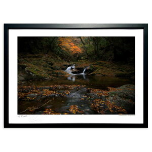 ŉ Hʂ̎o (ramble)CeA Ǌ| z i |X^[ A[g rO ւɏ  v[g _ A[gt[