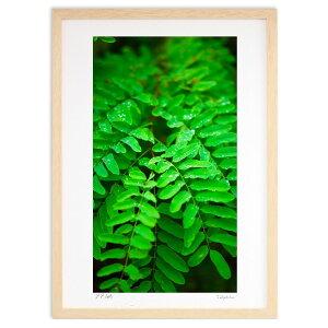 ŉ Jオ̗t (Ζ؎)CeA Ǌ| z i |X^[ A[g rO ւɏ  v[g _ A[gt[