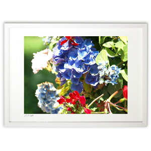 ŉ zԂƍʂ̒ (z -Rin-)CeA Ǌ| z i |X^[ A[g rO ւɏ  v[g _ A[gt[