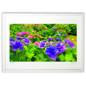 yX[p[SALEzzyƂ̍izF̎zԒBF`lXȎzԒBcܓV̋󂩂瑾ž&