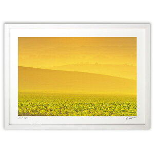 版画 黄金色の丘 (橋真澄)インテリア 壁掛け 額入り 風景画 ポスター アート リビング 玄関に飾る 風水 プレゼント モダン アートフレーム