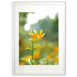 ŉ ]AЂƂЂbF (z -Rin-)CeA Ǌ| z i |X^[ A[g rO ւɏ  v[g _ A[gt[