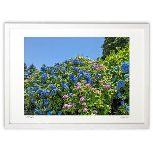 ŉ ŉ@VƎz (cojyoco)CeA Ǌ| z i |X^[ A[g rO ւɏ  v[g _ A[gt[