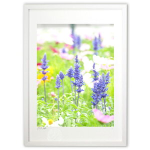 ŉ ƍ炭AẨԂ (z -Rin-)CeA Ǌ| z i |X^[ A[g rO ւɏ  v[g _ A[gt[