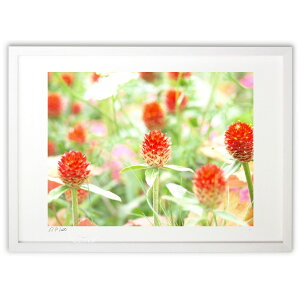 ŉ ȏMA΂̂Ȃɂƍ炭 (z -Rin-)