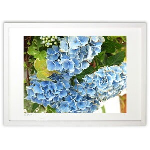 yX[p[SALEzzŉ [ÂAɕ܂ (z -Rin-)CeA Ǌ| z i |X^[ A[g rO ւɏ  v[g _ A[gt[