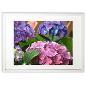 yX[p[SALEzzŉ ̒aAsNƐ̂ (z -Rin-)