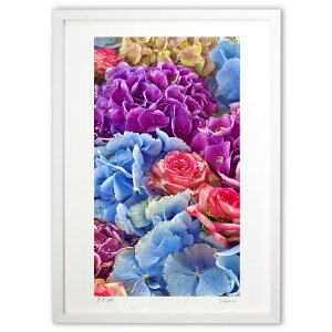 ŉ [YƎz (mitan)CeA Ǌ| z i |X^[ A[g rO ւɏ  v[g _ A[gt[