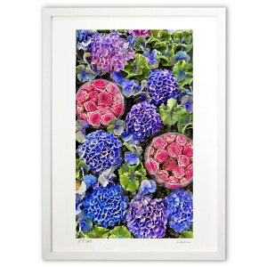 版画 ローズと紫陽花2 (mitan)インテリア 壁掛け 額入り 風景画 ポスター アート リビング 玄関に飾る 風水 プレゼント モダン アートフレーム
