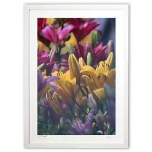 ŉ R̒̉ԑ (aoisuzu)CeA Ǌ| z i |X^[ A[g rO ւɏ  v[g _ A[gt[