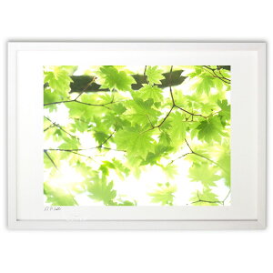 ŉ PAĂ̌ɓ݂ (z -Rin-)CeA Ǌ| z i |X^[ A[g rO ւɏ  v[g _ A[gt[