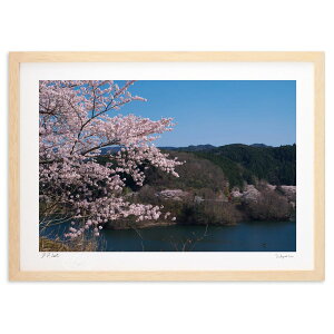 ŉ tFɐ܂ (ramble)CeA Ǌ| z i |X^[ A[g rO ւɏ  v[g _ A[gt[