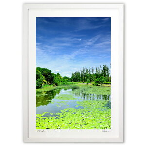 ŉ s̃XC̏ƃ|v؂̕i (YKANEKO)