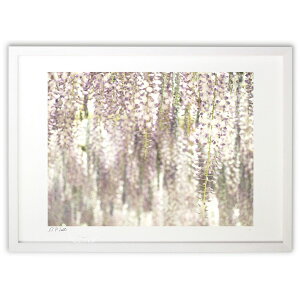 ŉ Aɗh锖̓ (z -Rin-)CeA Ǌ| z i |X^[ A[g rO ւɏ  v[g _ A[gt[