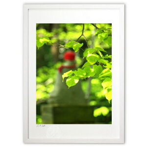 ŉ ΂ɕ܂ n܂̐Î (z -Rin-)