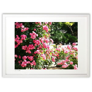 yX[p[SALEzzŉ sN̋ o̍ʂ (z -Rin-)CeA Ǌ| z i |X^[ A[g rO ւɏ  v[g _ A[gt[