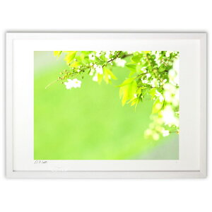 ŉ ₳΂̂Ȃ̏ȋP (z -Rin-)