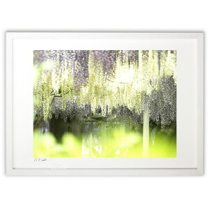 ŉ Ɣ̓ɂ₳ (z -Rin-)CeA Ǌ| z i |X^[ A[g rO ւɏ  v[g _ A[gt[