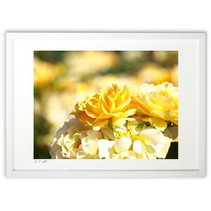 yX[p[SALEzzŉ DOf[V̉FKN (z -Rin-)