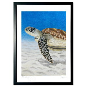 ŉ FM@CT (Ȃ)CeA Ǌ| z i |X^[ A[g rO ւɏ  v[g _ A[gt[