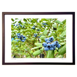 ŉ u[x (|{s)CeA Ǌ| z i |X^[ A[g rO ւɏ  v[g _ A[gt[