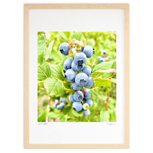 ŉ u[x[ (|{s)CeA Ǌ| z i |X^[ A[g rO ւɏ  v[g _ A[gt[