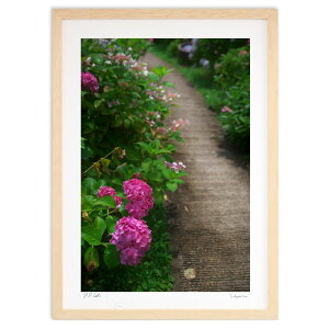 yX[p[SALEzzŉ gF̎zԂɓ (ramble)CeA Ǌ| z i |X^[ A[g rO ւɏ  v[g _ A[gt[