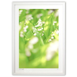 ŉ ElԊ֌W̕a^EK^EJ^UPI  (Kyoko.Abe)