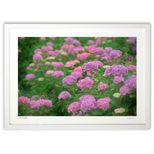 版画 紫陽花たちのささやき (ramble)インテリア 壁掛け 額入り 風景画 ポスター アート リビング 玄関に飾る 風水 プレゼント モダン アートフレーム