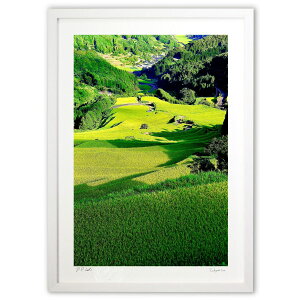 ŉ ΂O~ (mitan)CeA Ǌ| z i |X^[ A[g rO ւɏ  v[g _ A[gt[