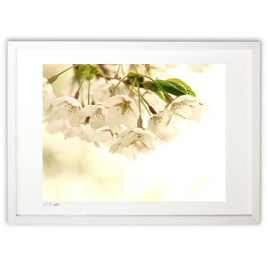 ŉ tAЂ̂Ȃ (z -Rin-)CeA Ǌ| z i |X^[ A[g rO ւɏ  v[g _ A[gt[