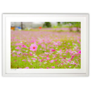 ŉ RXXɖ (Kazuhiko Gushiken)