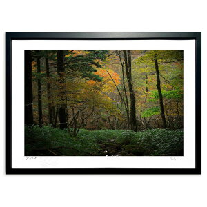 ŉ H̐ÎAX̎ (ramble)CeA Ǌ| z i |X^[ A[g rO ւɏ  v[g _ A[gt[