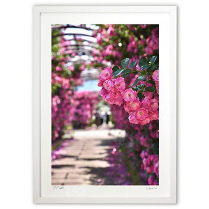 yƂ̍izKNKN炫oA[`BsNKN