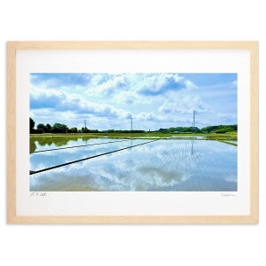 ŉ ݂Ȃɋ󂪉f鏉Ă̓ci (|{s)CeA Ǌ| z i |X^[ A[g rO ւɏ  v[g _ A[gt[