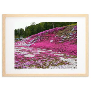 版画 芝桜の滝 (スノーバニラ)インテリア 壁掛け 額入り 風景画 ポスター アート リビング 玄関に飾る 風水 プレゼント モダン アートフレーム