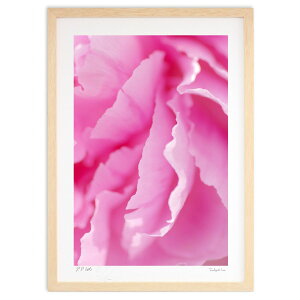 ŉ Ԃт̎ij (ramble)CeA Ǌ| z i |X^[ A[g rO ւɏ  v[g _ A[gt[