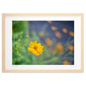 ŉ LoiRXX̏Ί (Masaichi)CeA Ǌ| z i |X^[ A[g rO ւɏ  v[g _ A[gt[